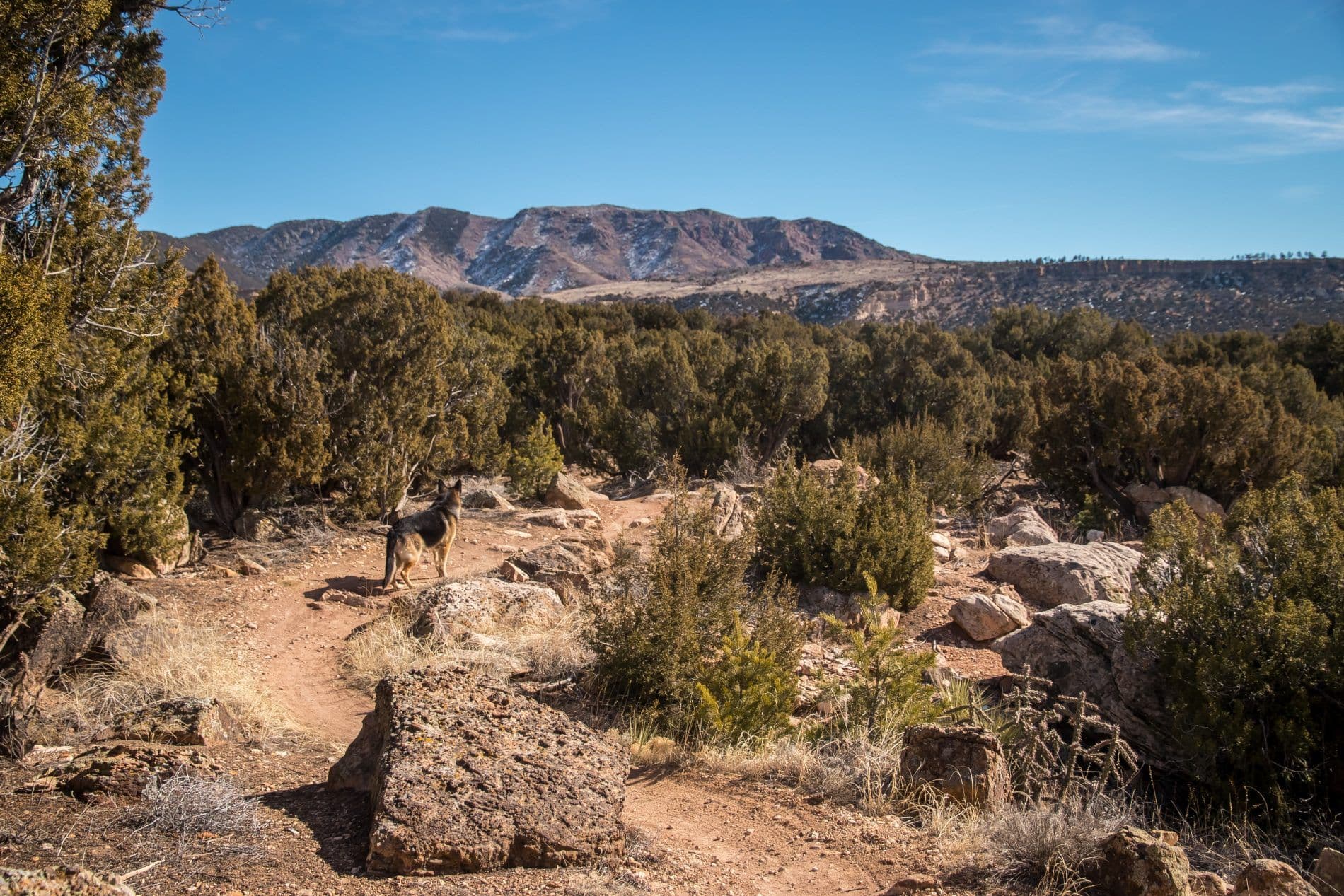 Mountain Biking at Oil Well Flats